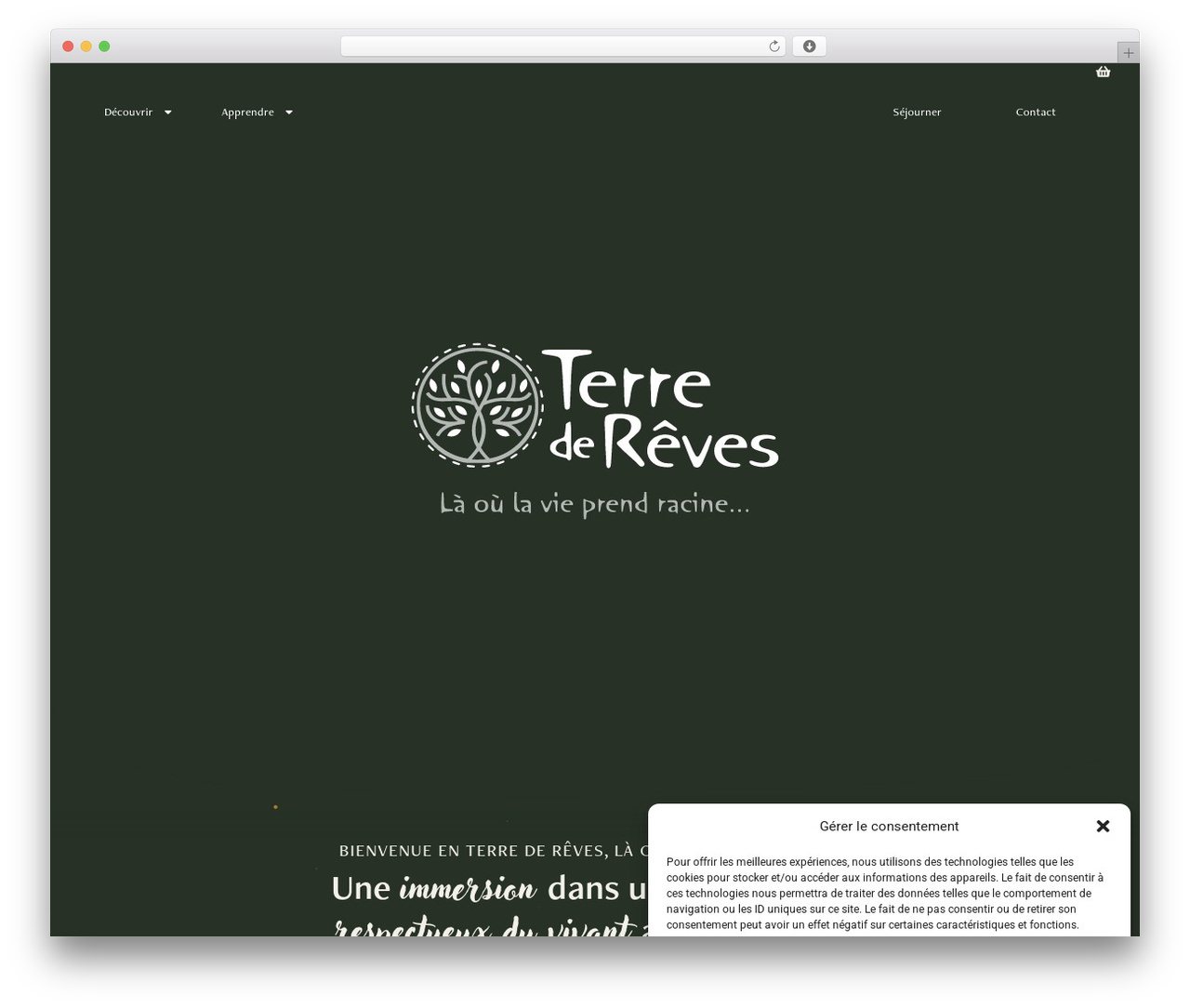 WordPress theme Hello Elementor - terredereves.fr WordPress theme Hello Elementor - terredereves.fr