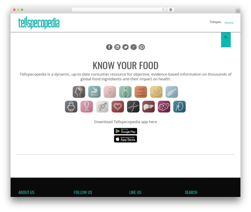 WordPress theme Rocket Board - tellspecopedia.com