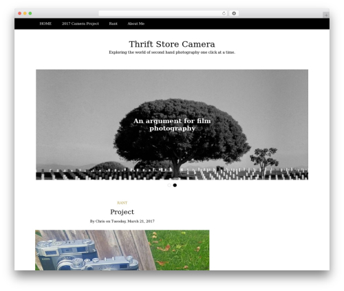 Writee WordPress shopping theme - thriftstorecamera.com