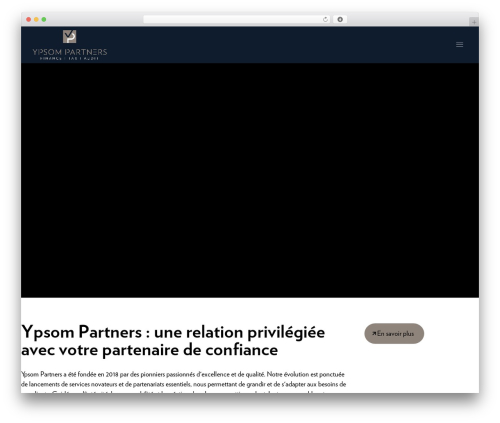 WordPress theme Digiwize - ypsompartners.ch