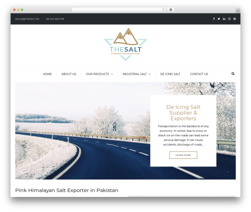 Camille WordPress theme - www.thesalt.pk