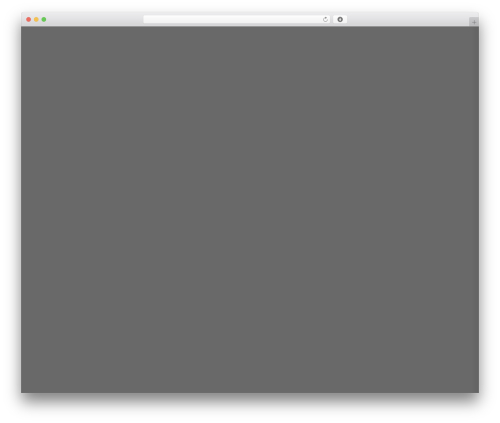 Nagish accessibility WordPress plugin - castronawy.com