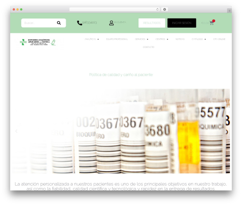 Hello Elementor WordPress theme design - eaac.es