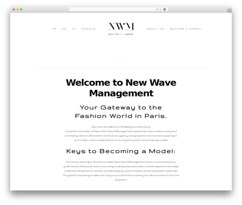 mane WordPress theme - nwm-paris.com