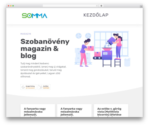 Ninja forms mailchimp optins WordPress plugin - somma.hu