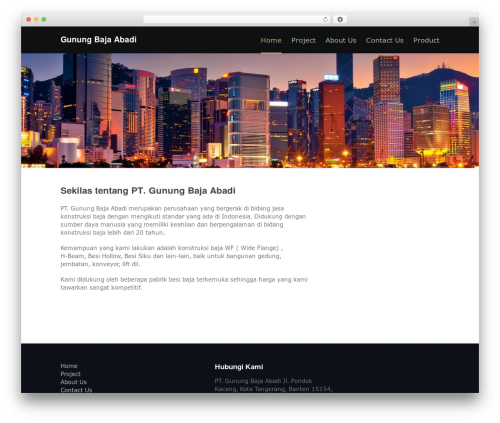 WordPress theme Elegant - bajaabadi.com