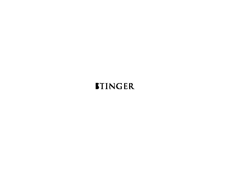 WordPress theme STINGER7