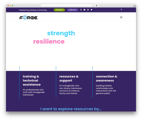 WP theme Divi - forge-forward.org