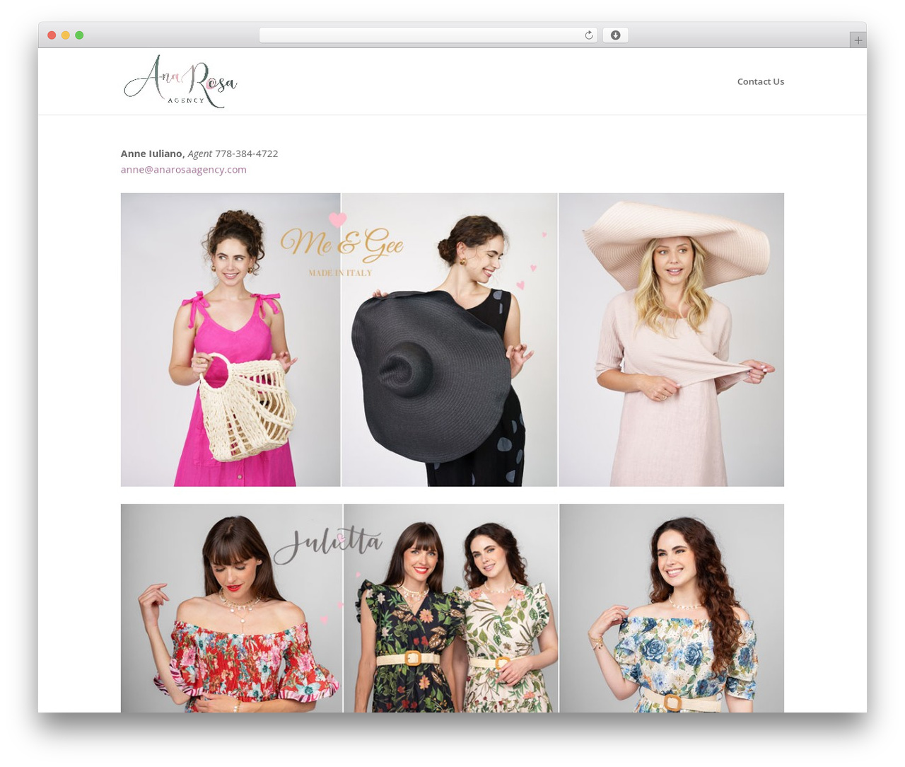 Divi WordPress theme - anarosaagency.com
