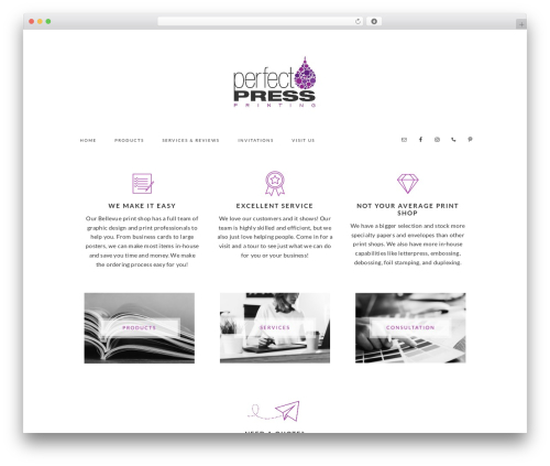 Socialfeeds pro WordPress plugin - perfectpress.com