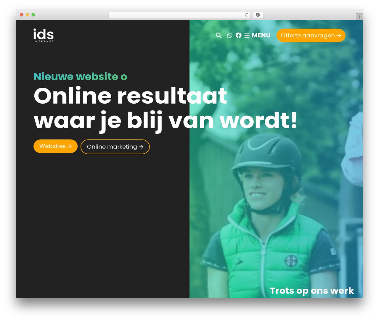 WordPress theme IDS - idsinternet.nl