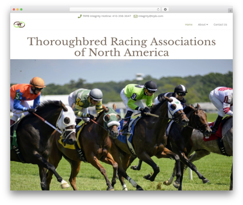 WordPress theme Rare - thoroughbredracingassociations.com