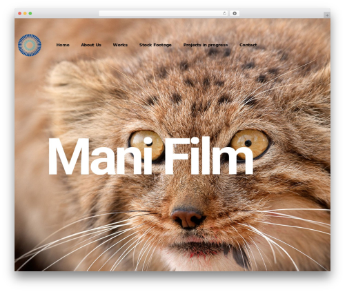 Alioth elementor extension WordPress plugin - mirsadeghi.com
