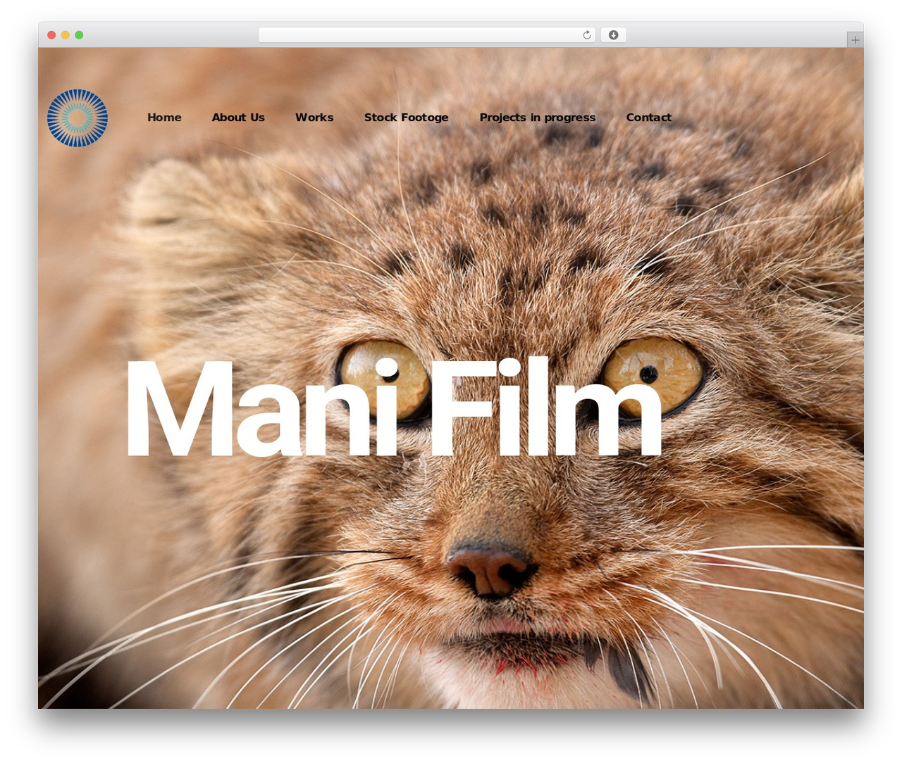 Alioth WordPress theme - mirsadeghi.com