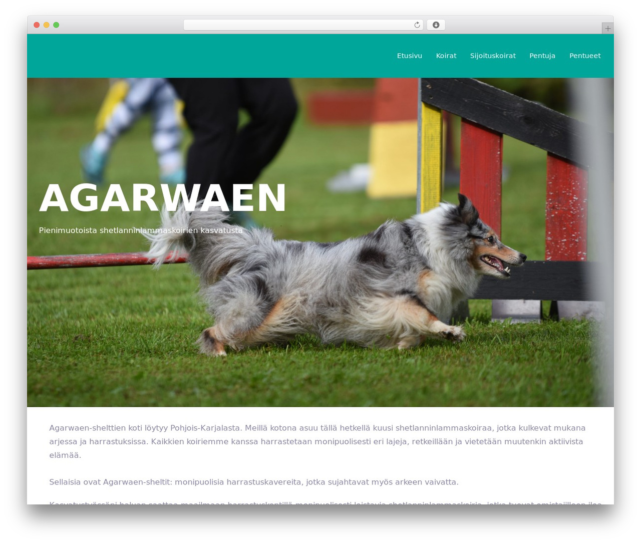 Creative-Ex WordPress theme - agarwaen.org