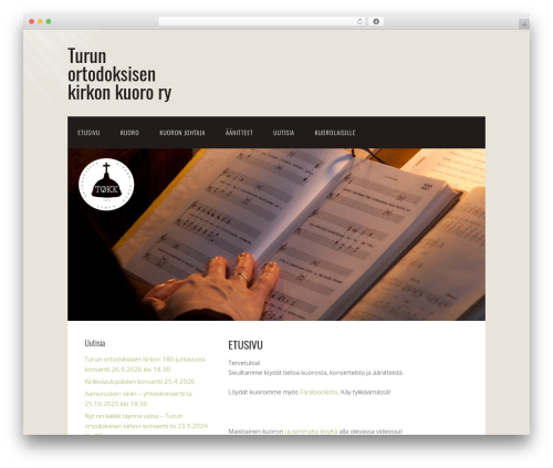 Omega best WordPress theme - tokk.fi