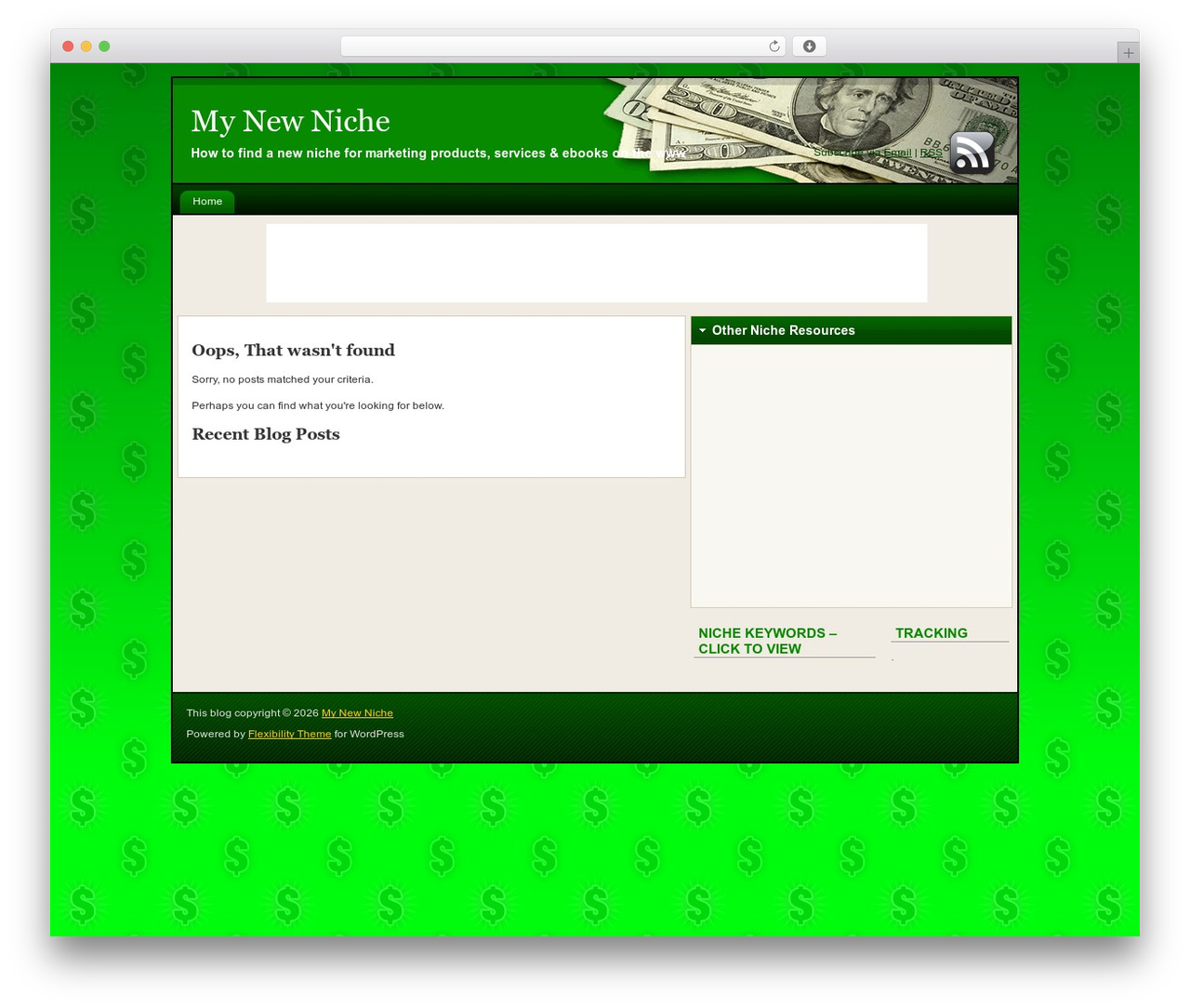 Flexibility2 WordPress theme - mynewniche.com