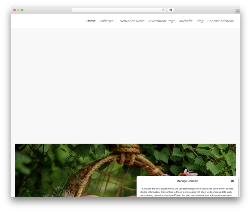 Slupy WordPress Theme WordPress theme - michellestudios.com
