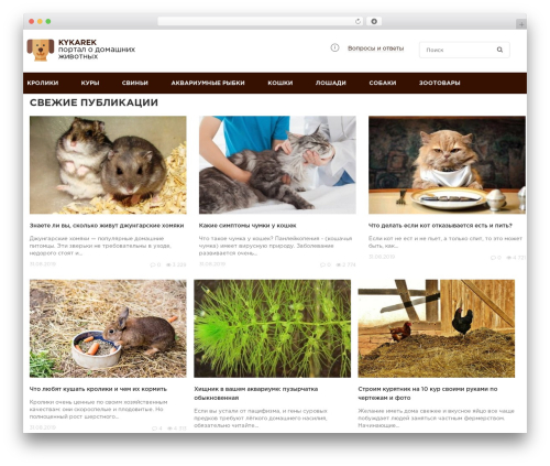 Theme WordPress constructor - kykarek.com