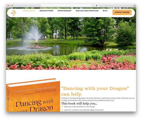 WordPress theme Hello Elementor - dancingwithyourdragon.com