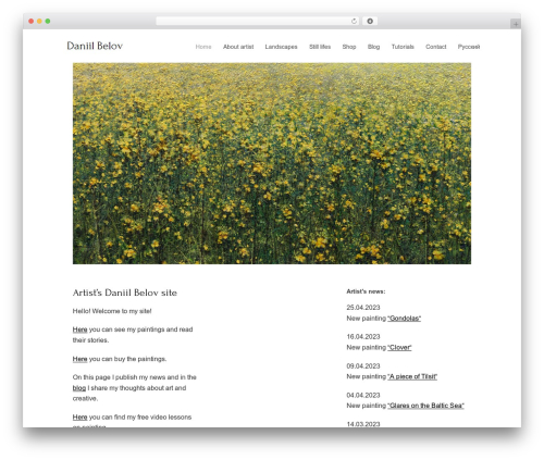 AnyComment (anycomment) free WordPress plugin - daniil-belov.com
