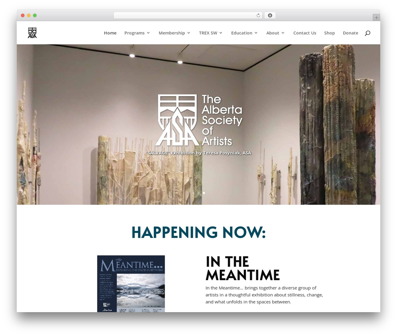 WP theme Divi - albertasocietyofartists.com WP theme Divi - albertasocietyofartists.com