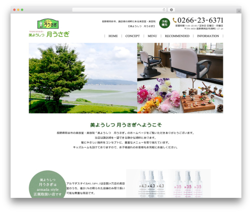 Best WordPress theme Themify Basic - tsukiusagi-salon.com