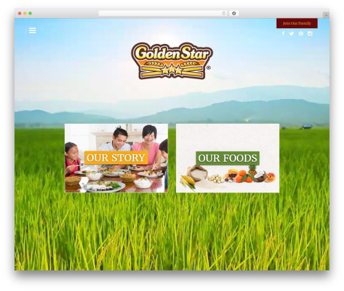 Bridge theme WordPress - goldenstartrading.com