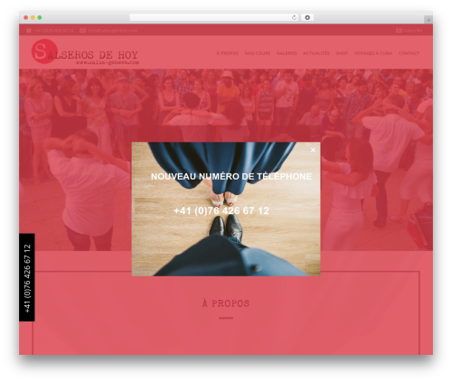 Wordpress social stream WordPress plugin - salsa-geneve.com