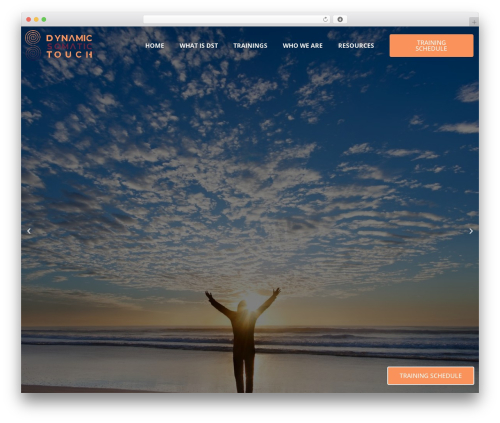 Learndash integrity WordPress plugin - dynamicsomatictouch.com