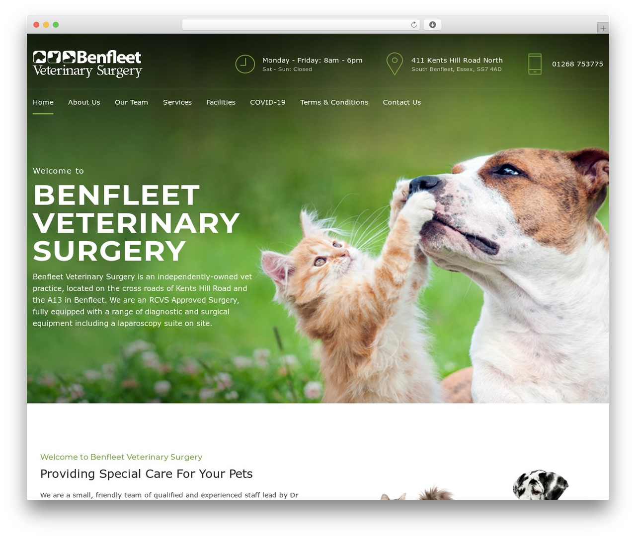 Theme WordPress Medicare Child theme of medicare - benfleetvet.co.uk