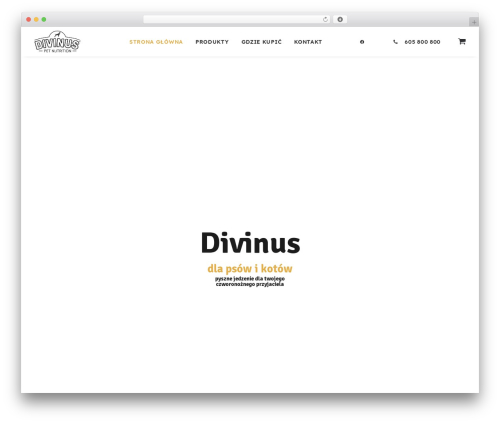 Blue Media (platnosci-online-blue-media) free WordPress plugin - divinus.pl Blue Media (platnosci-online-blue-media) free WordPress plugin - divinus.pl