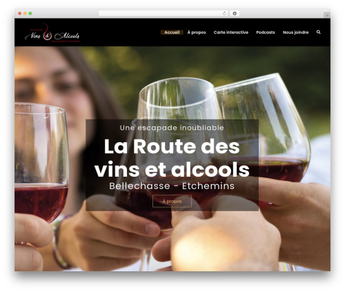 UnfinityPlus theme WordPress - routedesvinsetalcools.com
