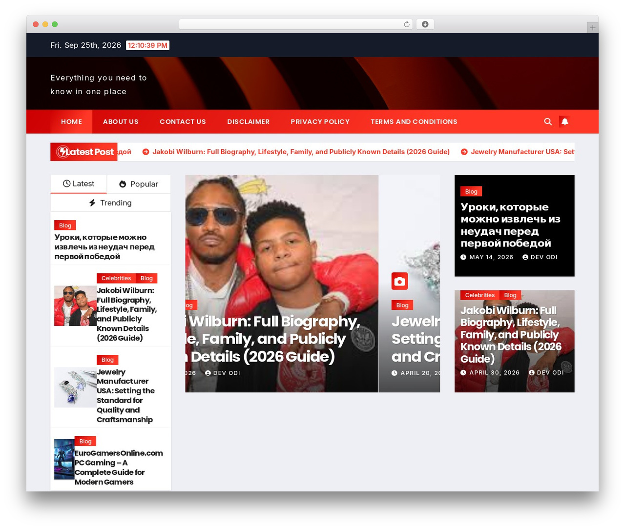 WordPress website theme Newsup - hollywooddarlings.com