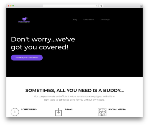 WP theme Pergo - thebuddyeffect.com