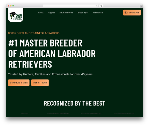 Hello Elementor WordPress theme free download - woodythurman.com