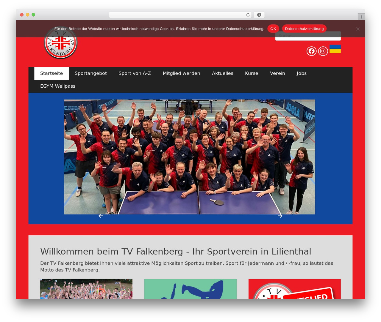 WordPress theme Catch Responsive Pro - tvfalkenberg.de