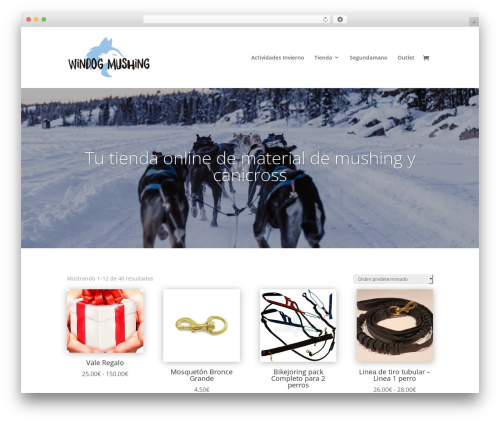 WordPress theme Divi - windogmushing.com