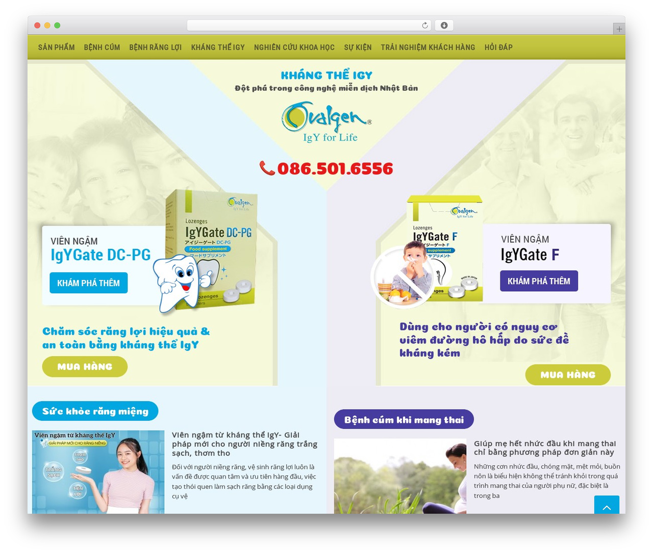 WP theme CAIA - igygate.com WP theme CAIA - igygate.com