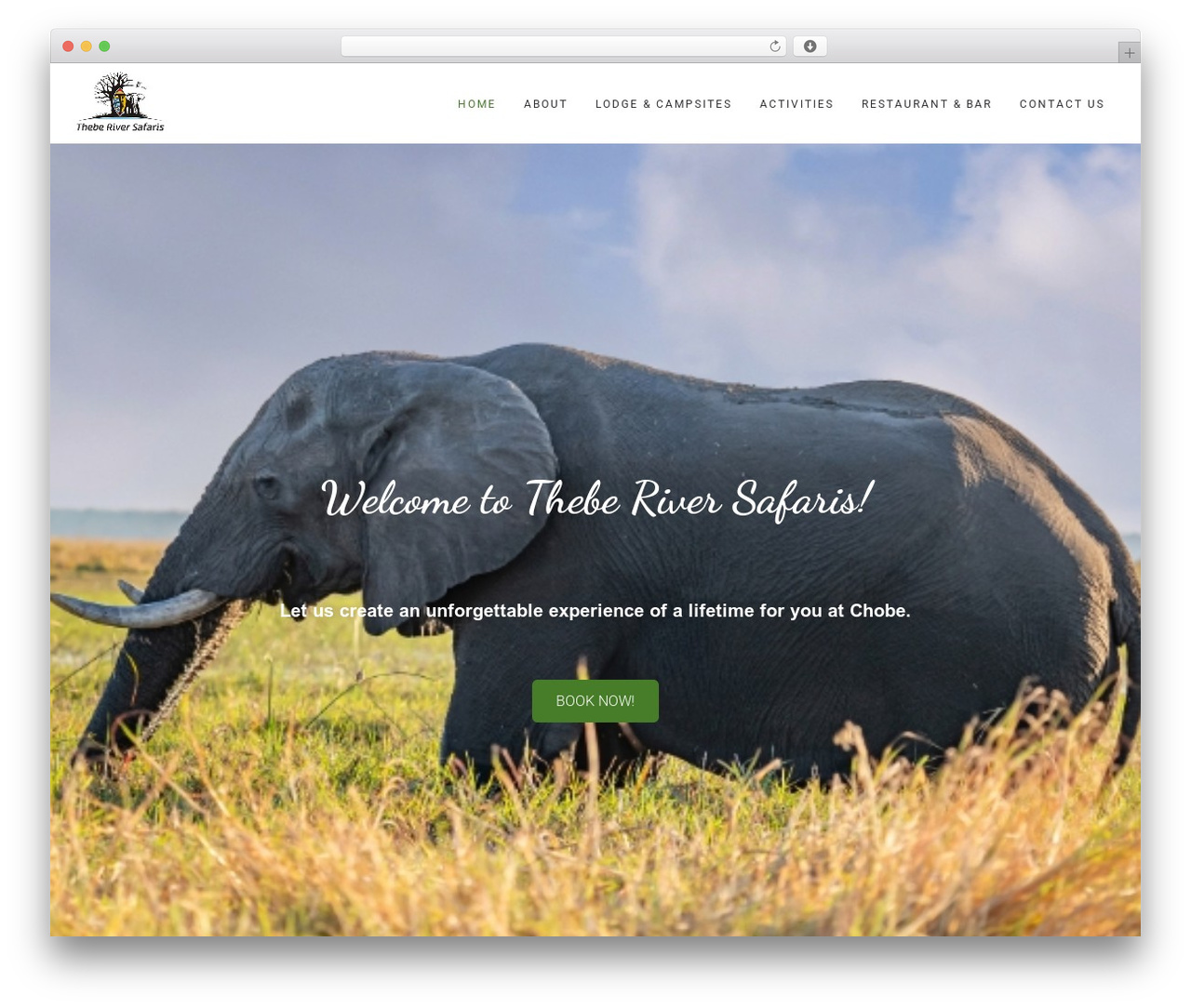 Ark WordPress theme - theberiversafaris.com