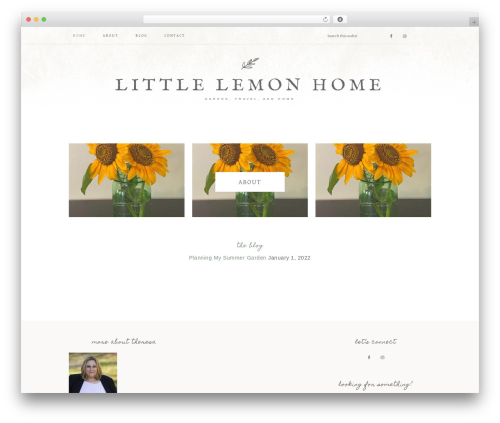 Theme WordPress Market Theme - littlelemonhome.com