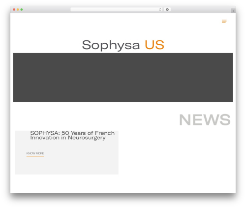 Wordpress Elementor WordPress theme design - sophysa.us