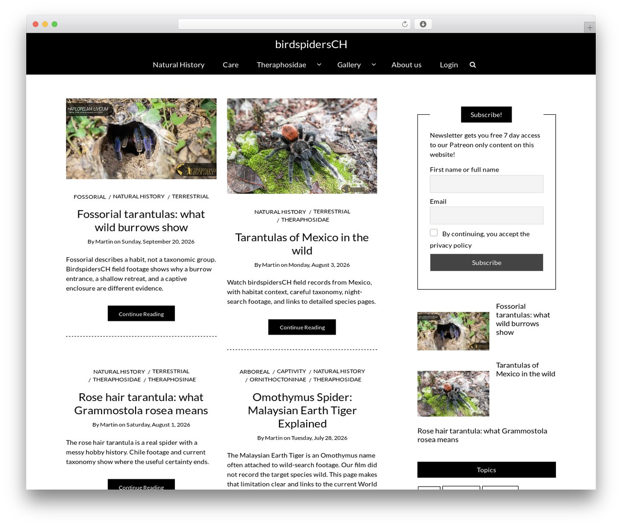 Writee Pro theme WordPress - birdspiders.ch Writee Pro theme WordPress - birdspiders.ch