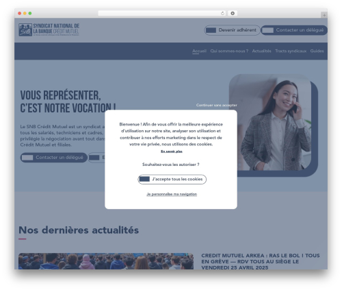 IC Main Theme theme WordPress - snb-creditmutuel.com