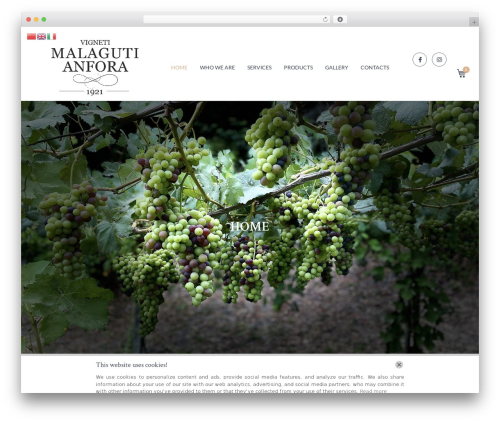 LocalWeb All In One (lw-all-in-one) free WordPress plugin - vignetimalagutianfora.it