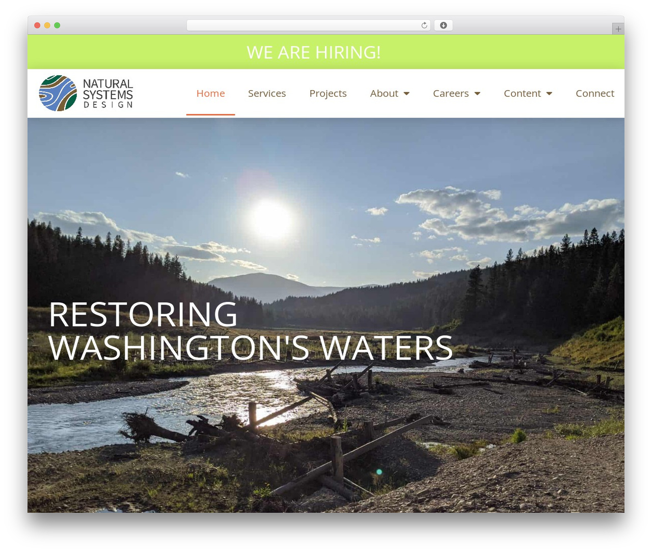 Hello Elementor WordPress theme - naturaldes.com Hello Elementor WordPress theme - naturaldes.com
