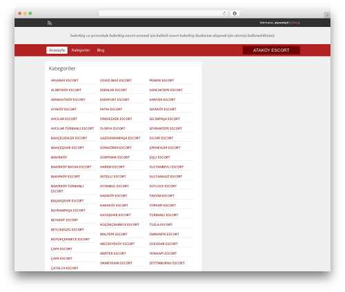 Theme WordPress ClassiPress - istanbularel.com