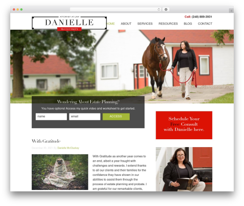 Theme WordPress Danielle - daniellemccluskey.com