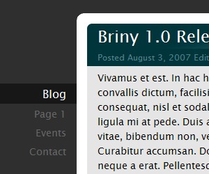 Briny theme WordPress