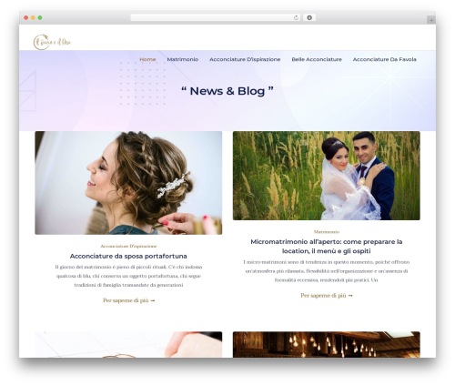 Docent Pro WordPress theme - ilbiancoeilrosa.it